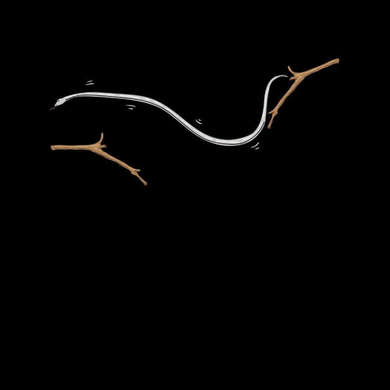 Flying snake Sliding snake Chrysopelea