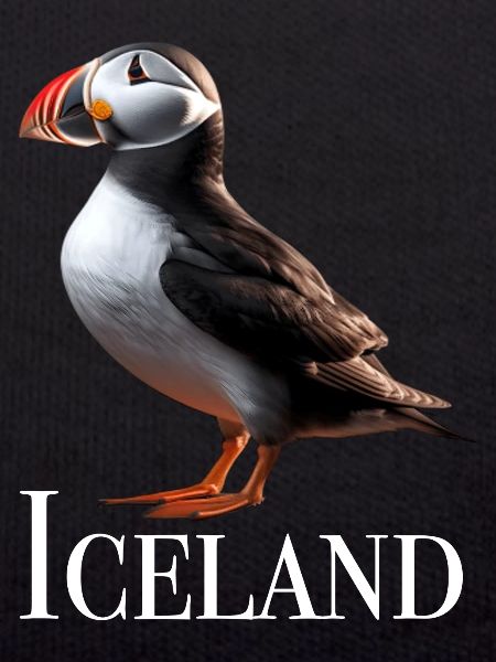 Iceland Puffin