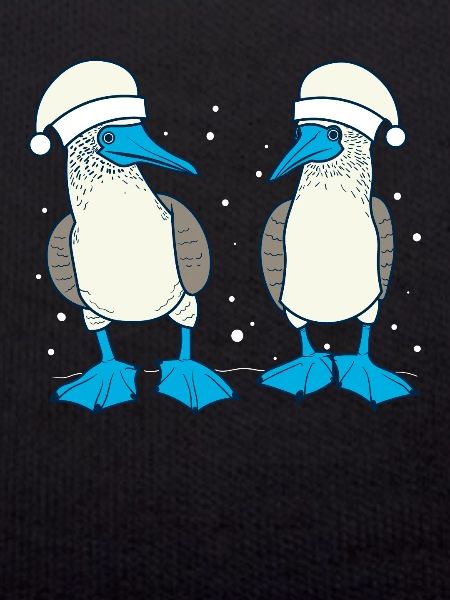 Christmas Blue-footed
