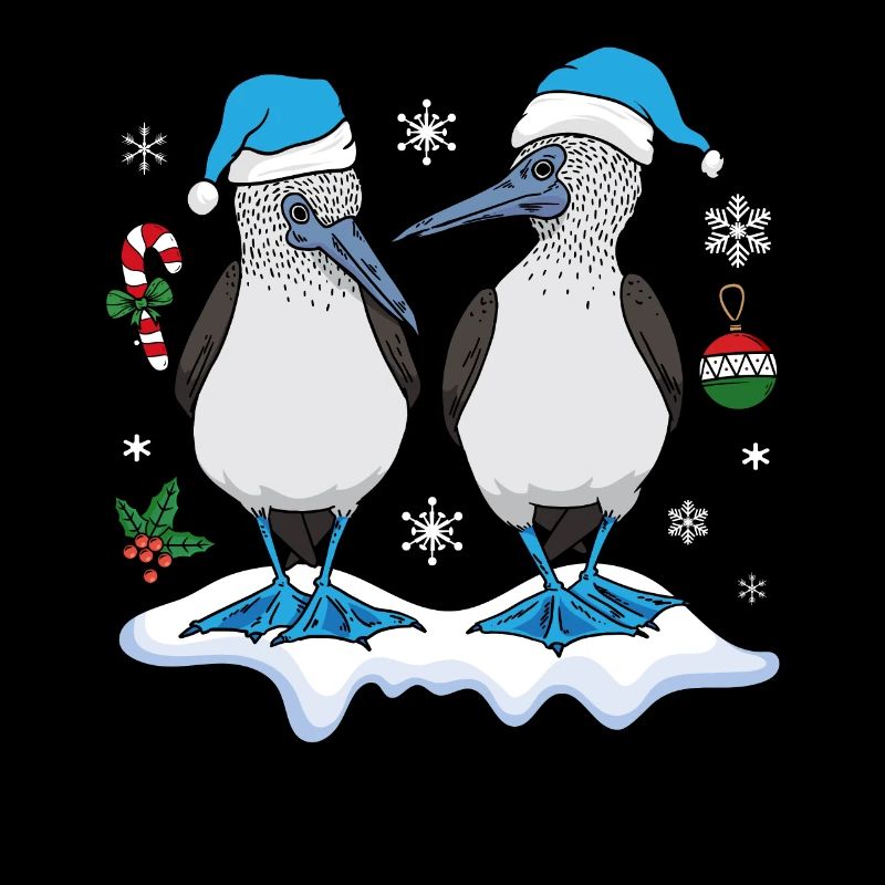 Blue-footed boobies Christmas
