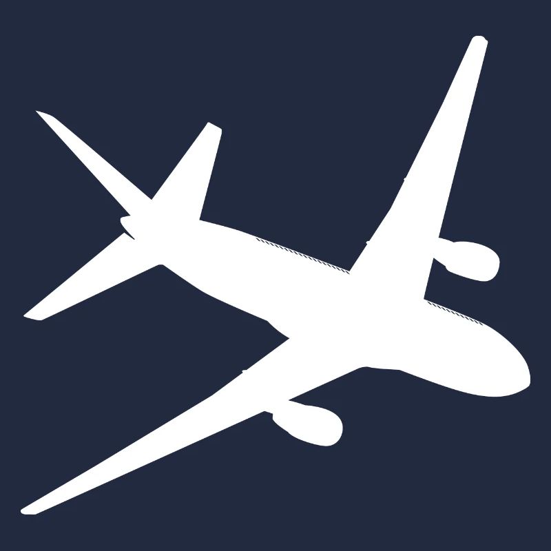 Flugzeug Flieger