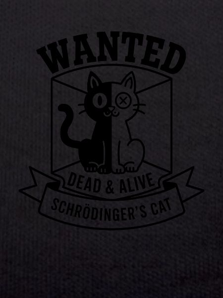 Schroedinger ́s Cat