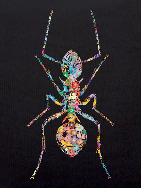 Ant