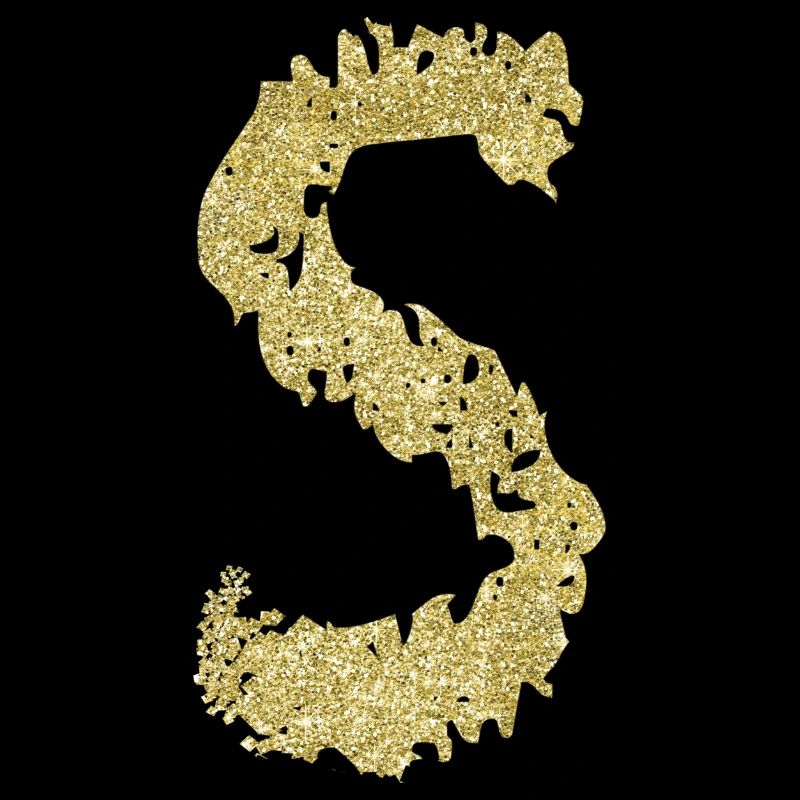 Letter S Gift Name 2