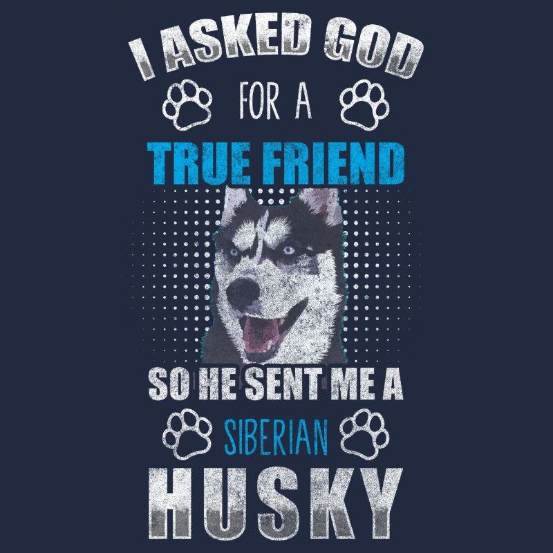 Husky Hunderasse Rassehund