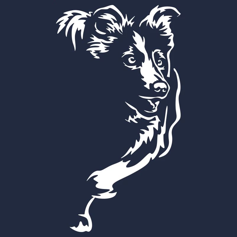 Border Collie "Black Edition"