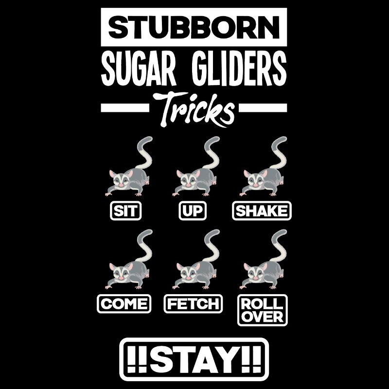 Sugar Glider Pet Stubborn Sugar Gliders Astuces