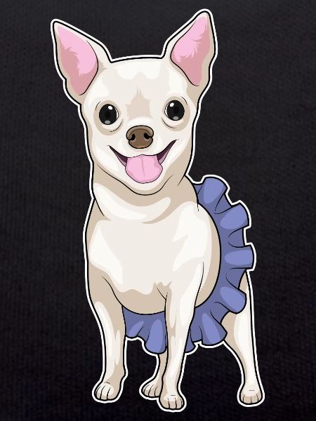 Danse ballerine Chihuahua