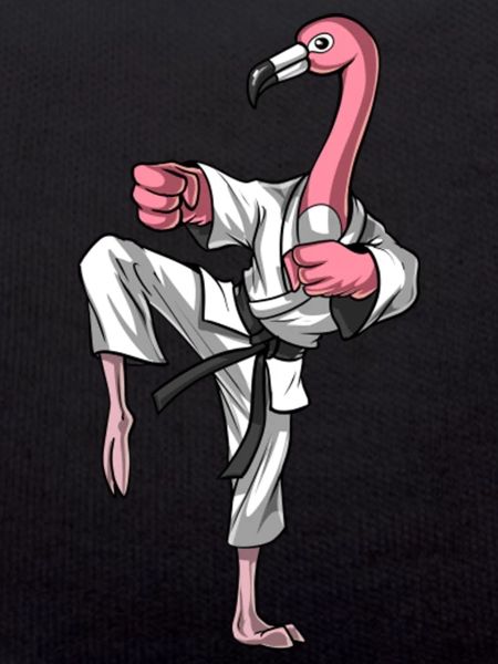 Flamingo Bird Karate