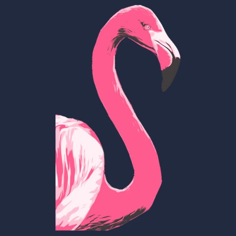 Flamingo Vogel Illustration