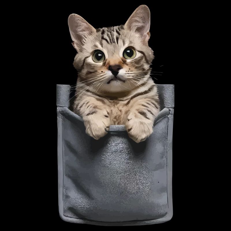 Chartreux-Katze in der Tasche Geschenk