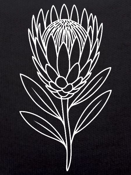 Protea Line Art