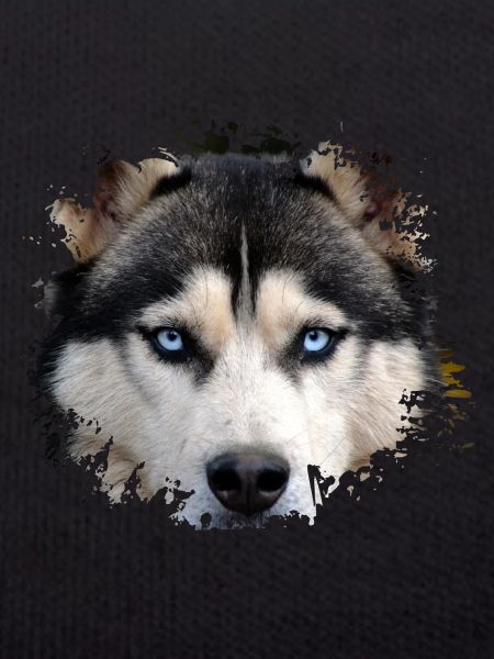 Husky