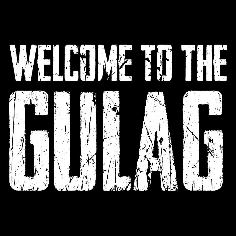 Gulag Warzone King Gamer Meme Idée cadeau