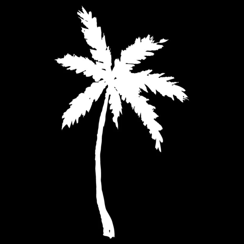 Palm Beach Holiday