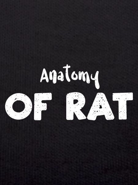 Anatomy Of Rat - Science