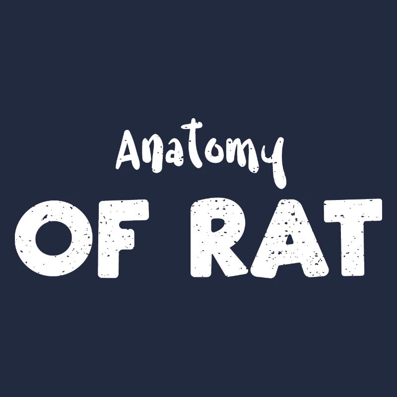 Anatomie du rat - Science