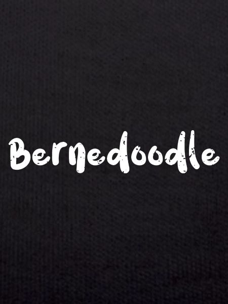 Bernedoodle - Chiens