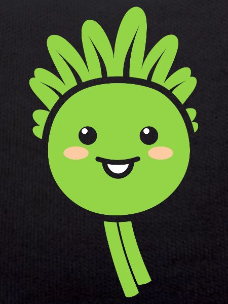 céleri