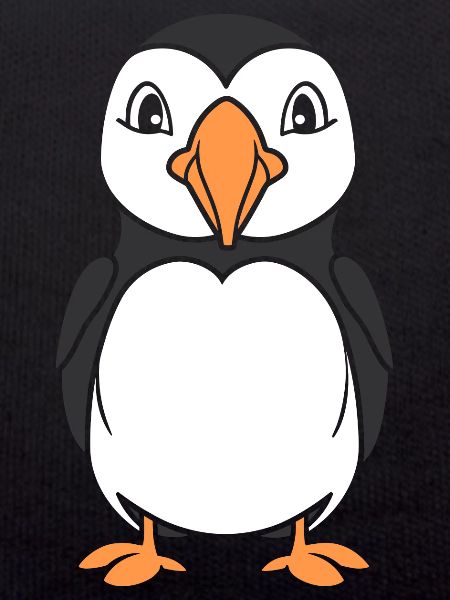 puffin