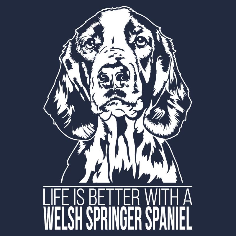 Welsh Springer Spaniel life better dog Wilsigns