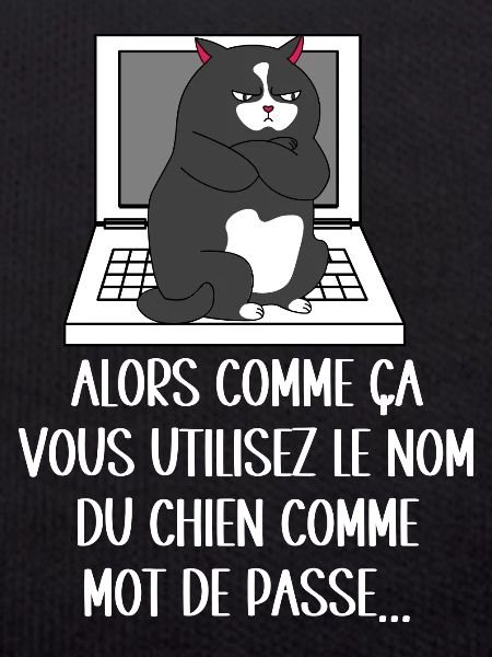 chat jaloux