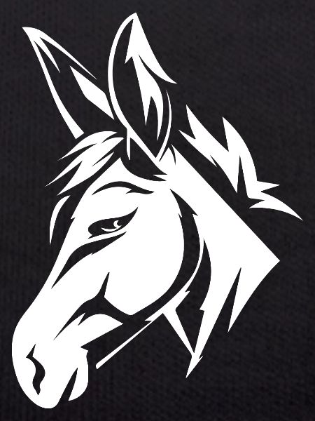Donkey
