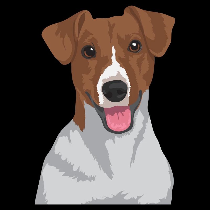 Jack Russell Terrier Hund - Jack Russell Terrier