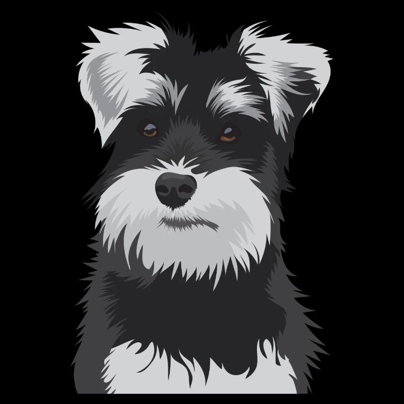 Zwergschnauzer Hund - Zwergschnauzer