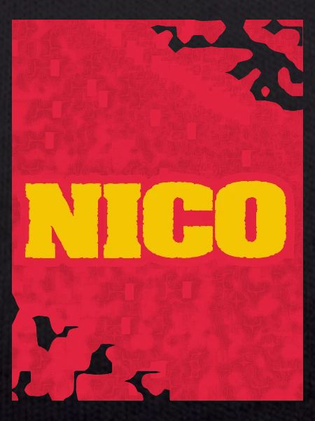 Style et artwork Nico