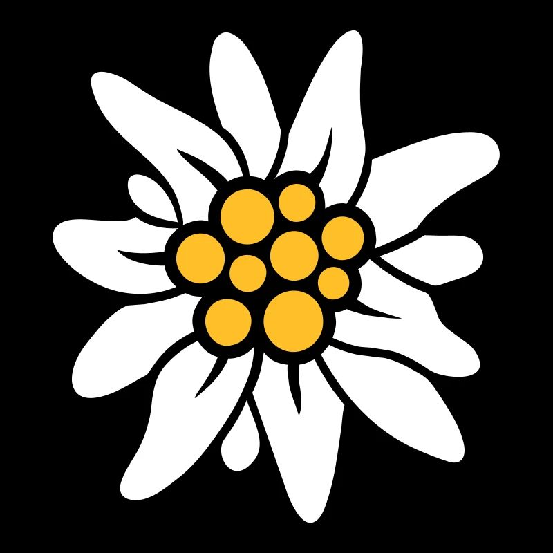 Edelweiss