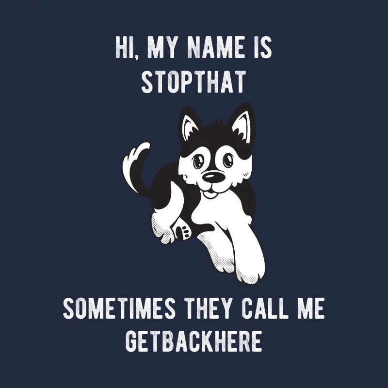 Mon nom est Stopthat Getbackhere Pomsky Hyper Dog