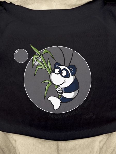 Panda Garnele