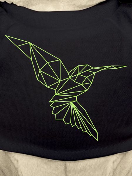 Eisvogel