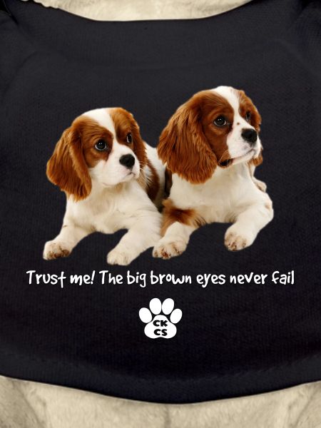 Les grands yeux bruns