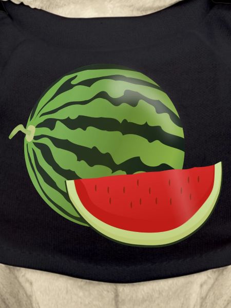 pastèque pastèque fruits végétariens1112