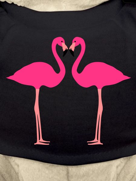flamants roses