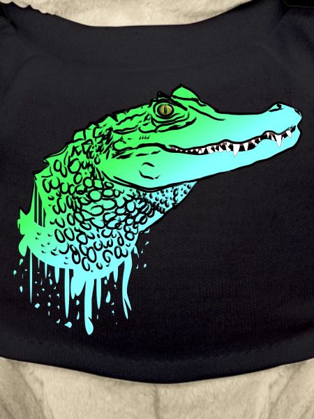 Krokodil Kroko Echse Alligator