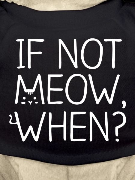 Katze, wenn nicht miauen, wenn