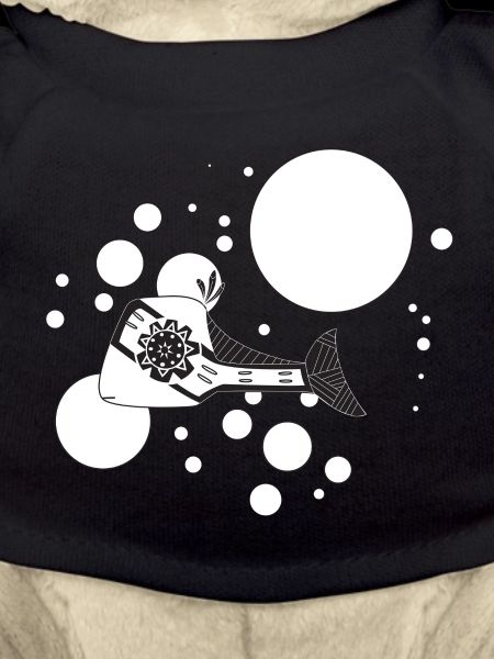 Salmon 4