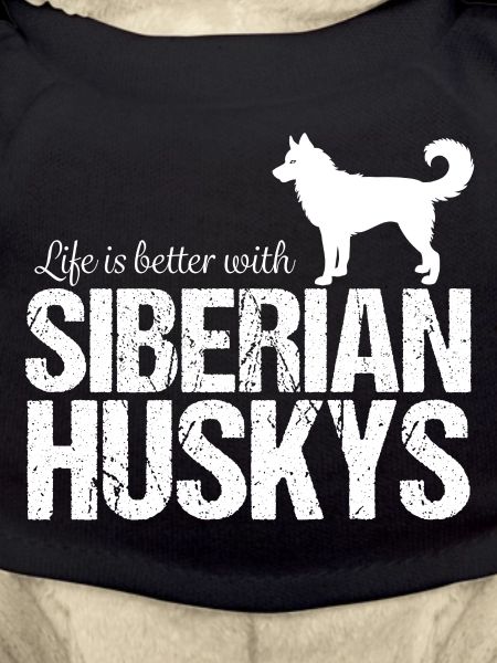 Husky husky