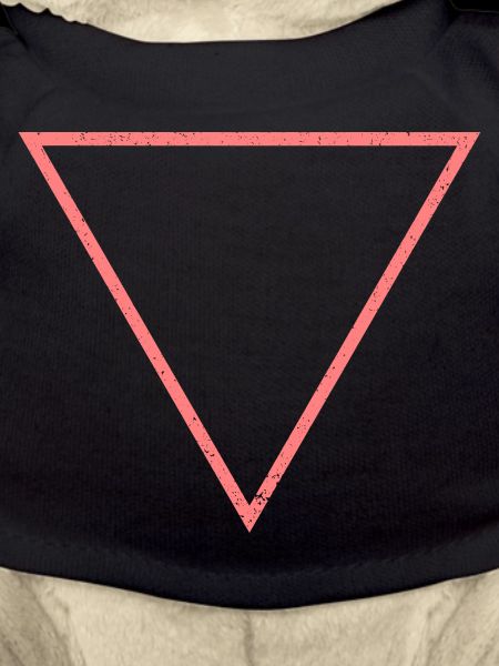 triangle pink