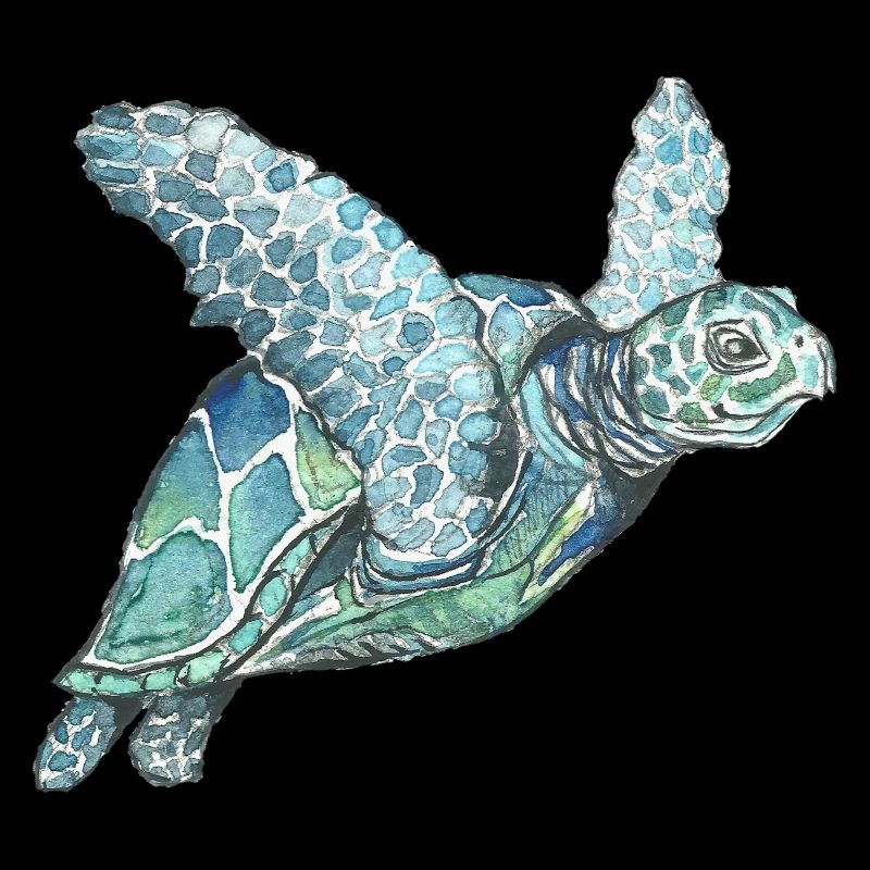 tortue marine