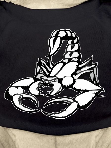 SCORPION