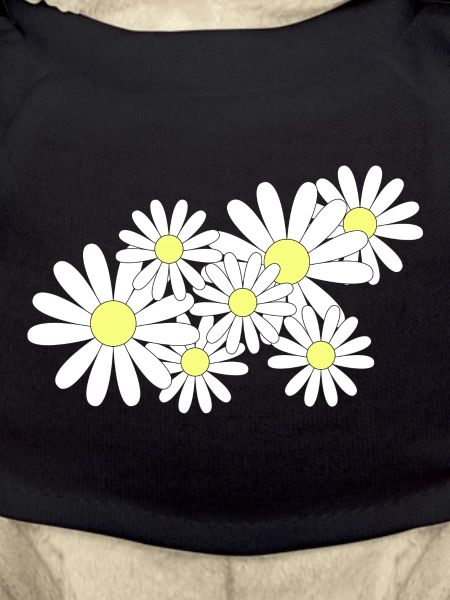 Daisy