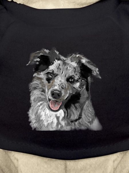 Australian Shepherd