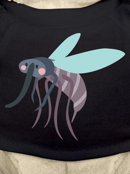 mosquito