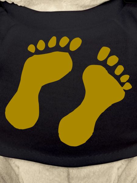 Foot print