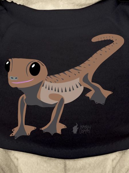 gecko