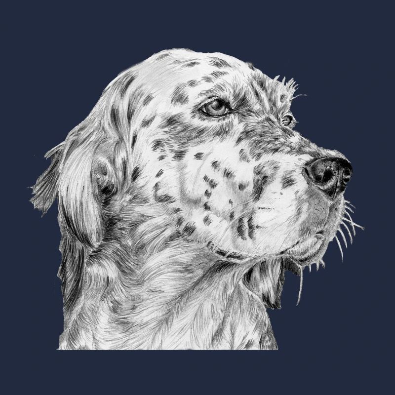 Englisch Englisch Setter